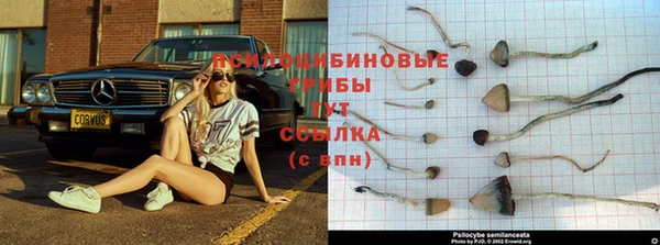 скорость Долгопрудный